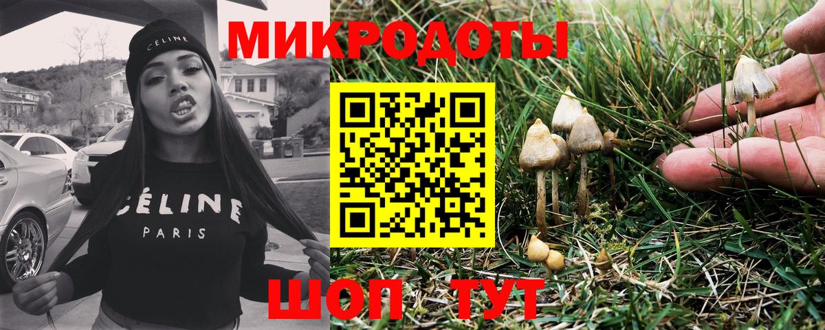 Галлюциногенные грибы GOLDEN TEACHER  Вход с VPN  что такое   Гуково 