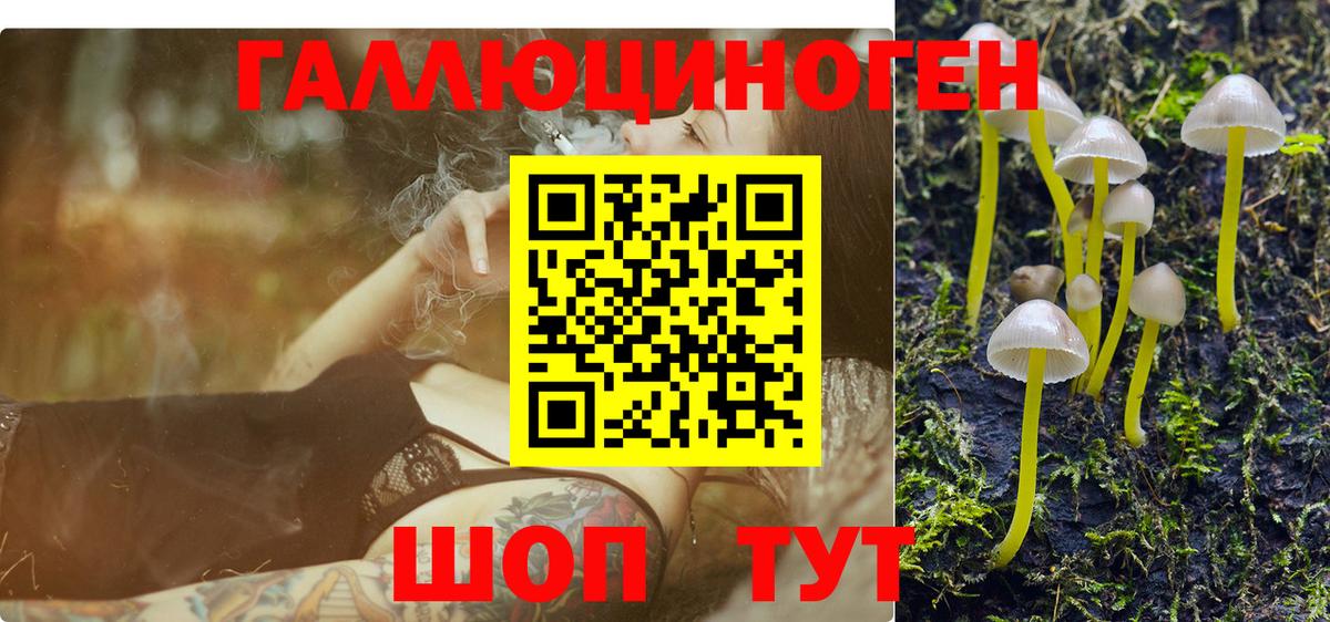 Псилоцибиновые грибы ЛСД Гуково